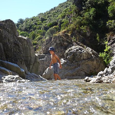 La Frigoule, Un Gite Au Coeur Du Parc Des Cevennes Generargues Luaran gambar