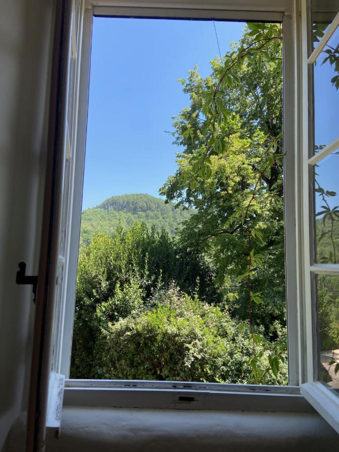 La Frigoule, Un Gite Au Coeur Du Parc Des Cevennes Generargues Luaran gambar