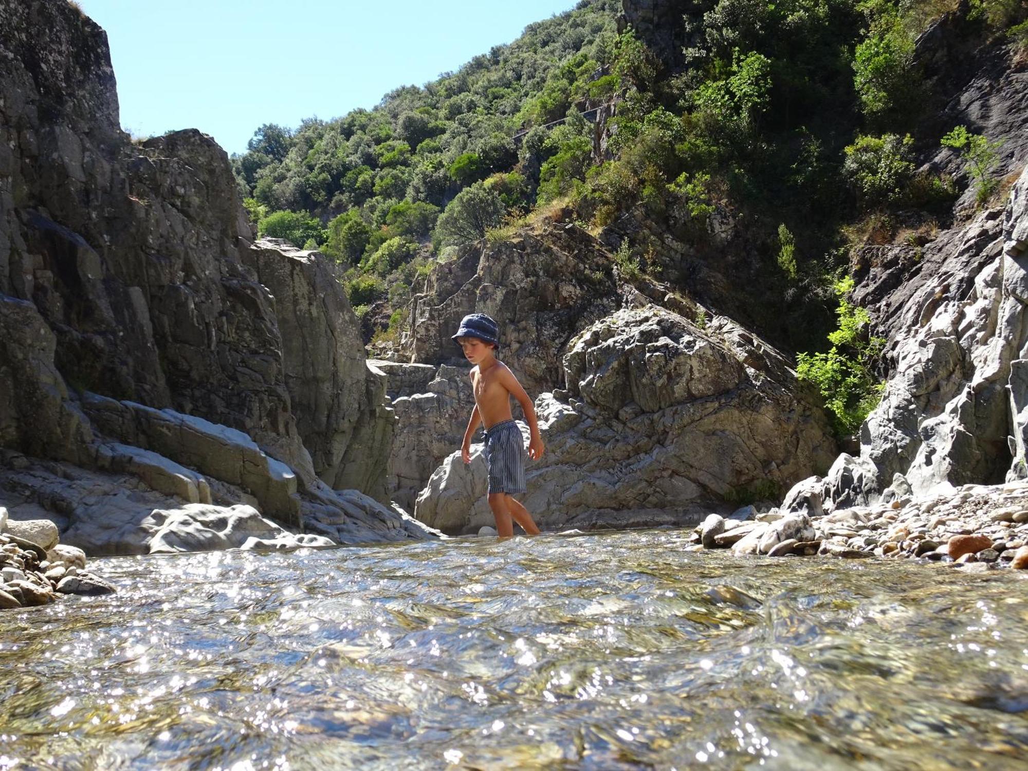 La Frigoule, Un Gite Au Coeur Du Parc Des Cevennes Generargues Luaran gambar